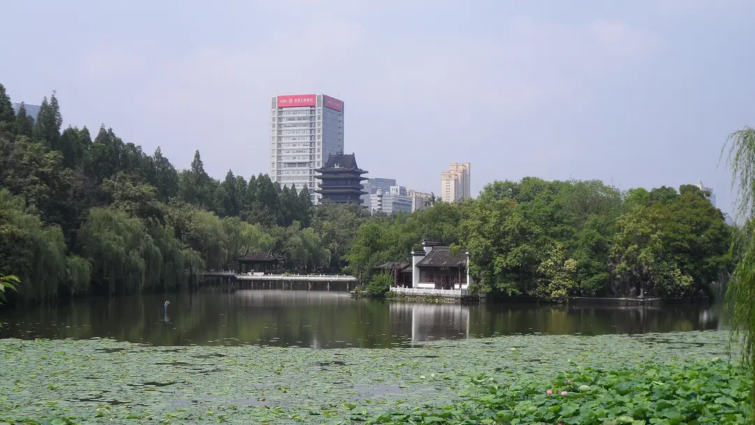 Lotus leaves on the water in Bao Gong Park, with a pavilion on the bank and the dark tiered Qingfeng Pavilion behind