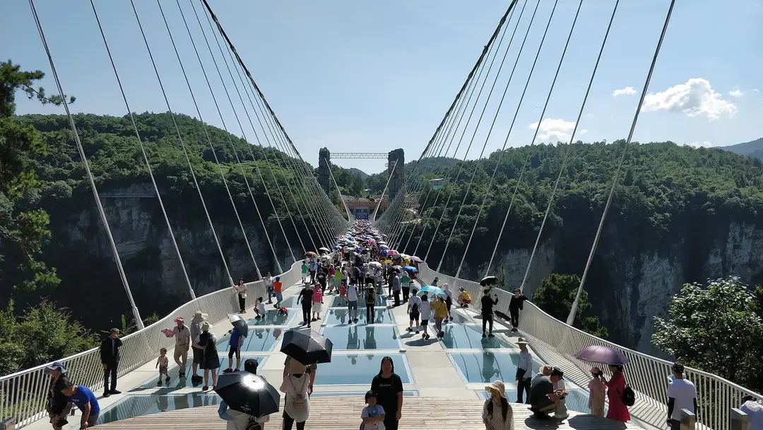 Visitors with umbrellas crossing the glass-floored suspension bridge over the Zhangjiajie Grand Canyon