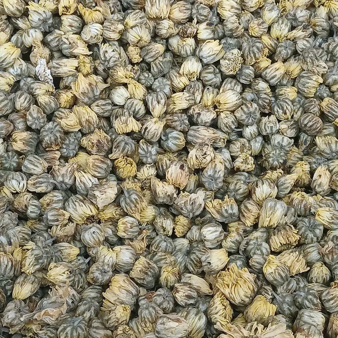 A pile of dried white chrysanthemum buds used for tea