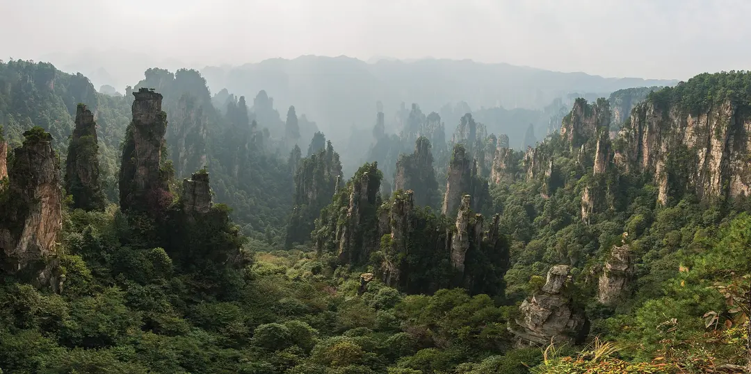 Forested sandstone pillars rising in haze below Tianzi Mountain in the Wulingyuan scenic area
