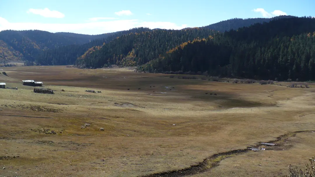 A wide autumn meadow with a stream and a few wooden huts, ringed by forested hills, in Pudacuo National Park