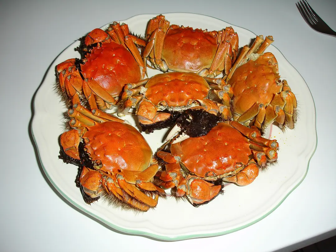 Steamed hairy crabs, shells turned bright orange, arranged on a white plate