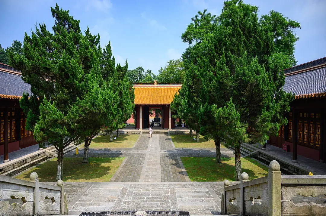 A paved courtyard lined with pine trees leading to a yellow-roofed hall at Yuelu Academy